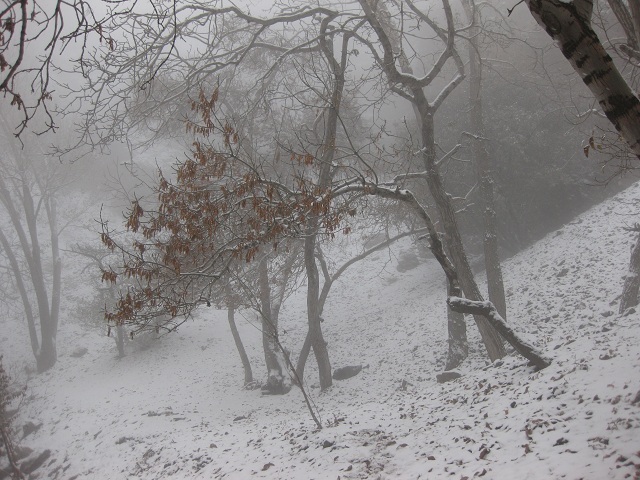Darake Nature