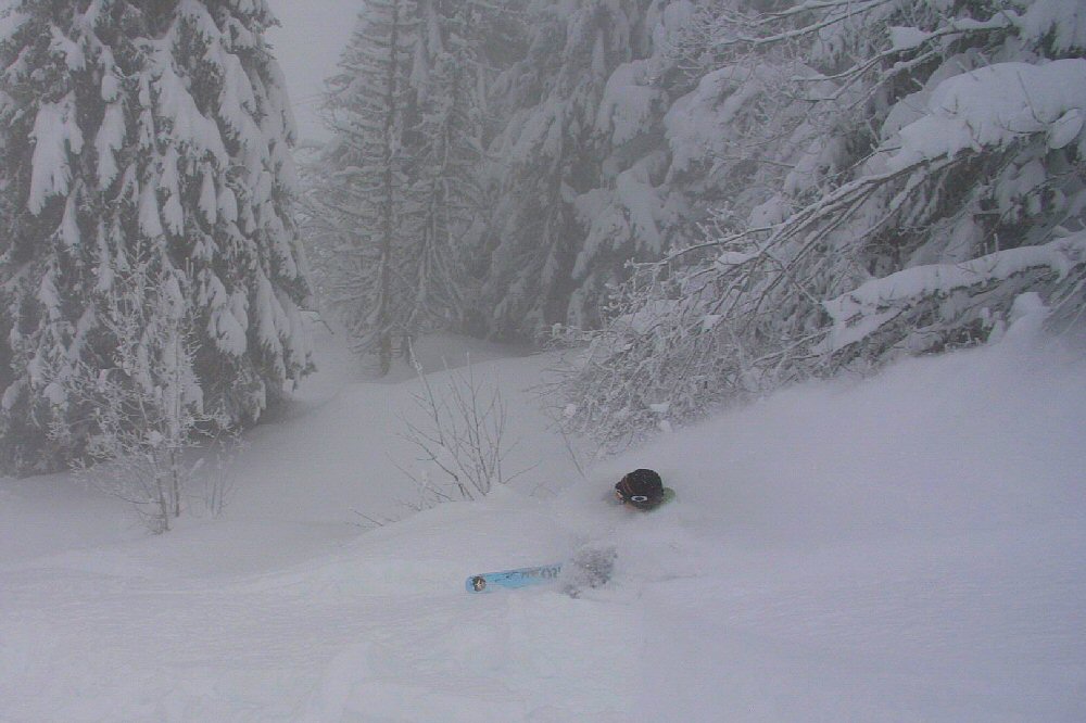 In deep at St Pierre de Chartreuse, Saint Pierre De Chartreuse