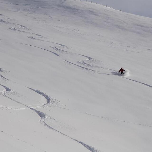 Terminilluccio bowl, Terminillo