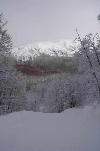 Terminillo Ski Resort by: filiberto perilli
