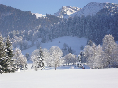 Oberstaufen Ski Resort by: Anthony  Bishop