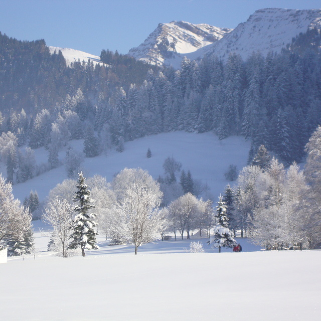 The great outdoors, Oberstaufen