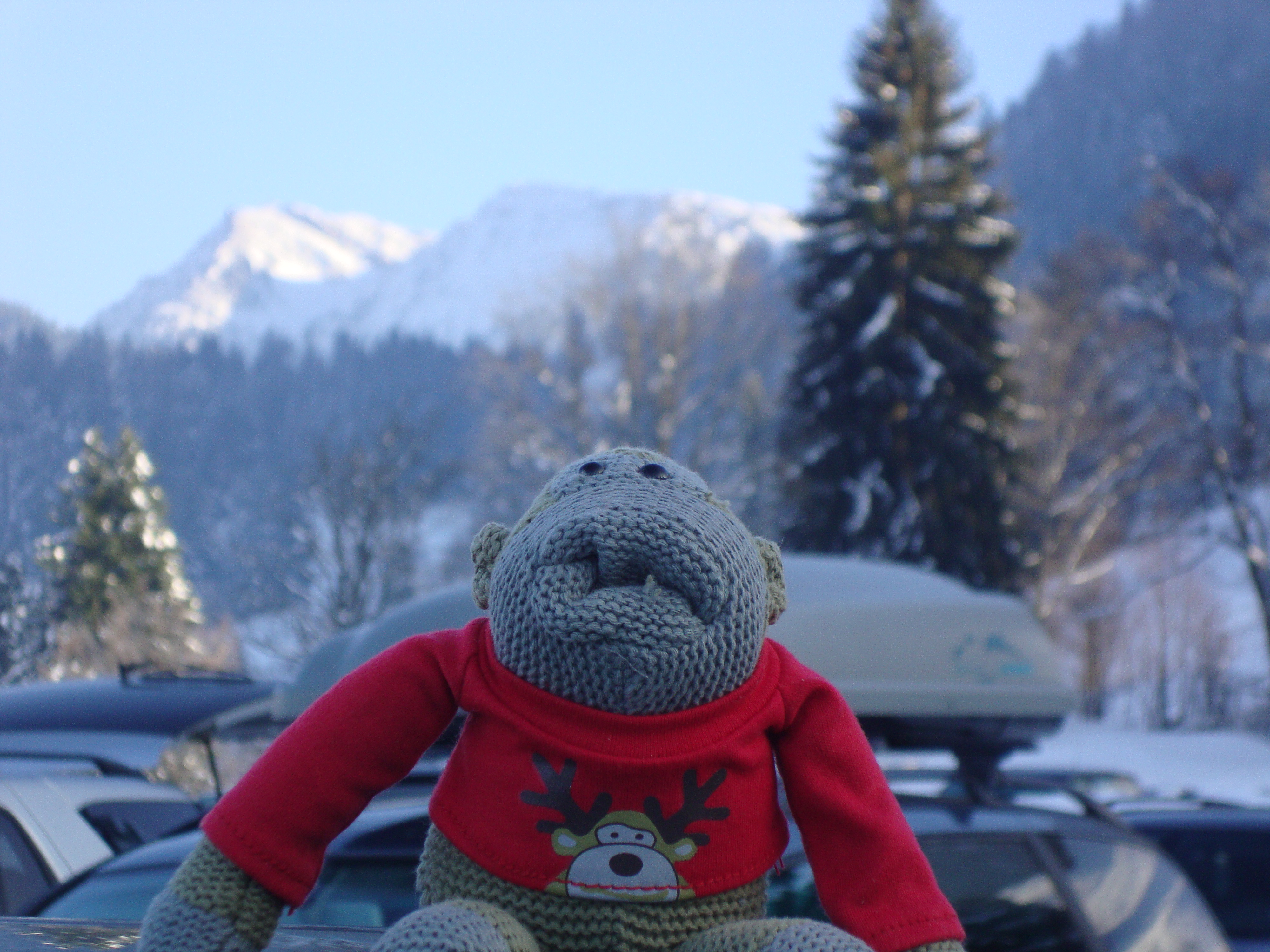 Mr PG Monkey, Oberstaufen