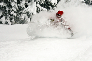 Deep Fluffy Pow, Last Frontier Heliskiing photo