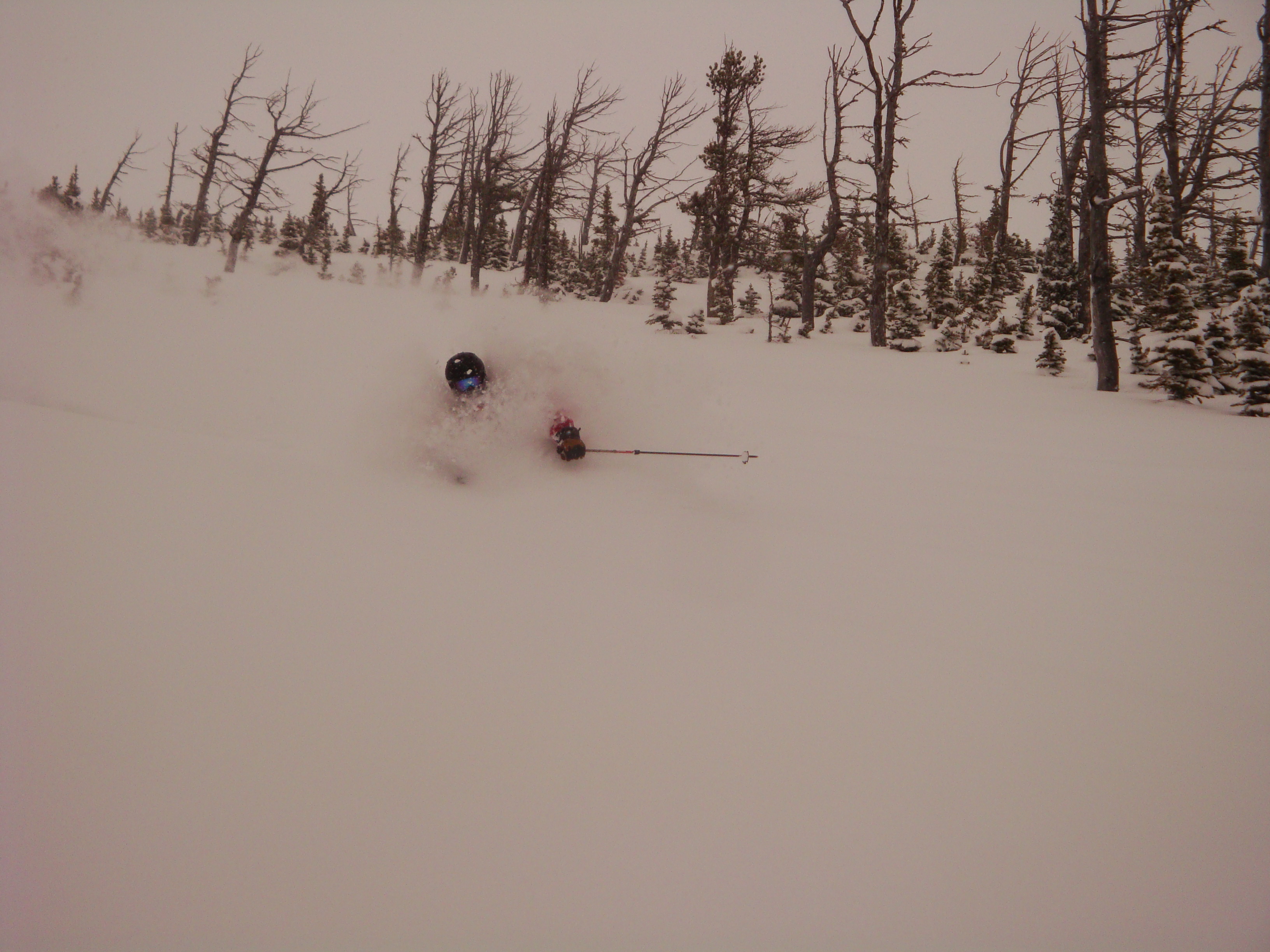 March 1, 2011, Castle Mountain Resort