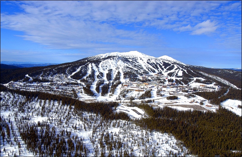 big white