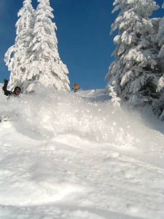 Powder, Saint-Jean d'Aulps La Grande Terche