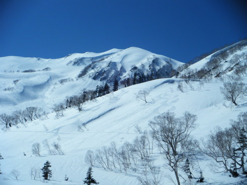 Tsugaike Kogen Ski Resort by: Denis Akira