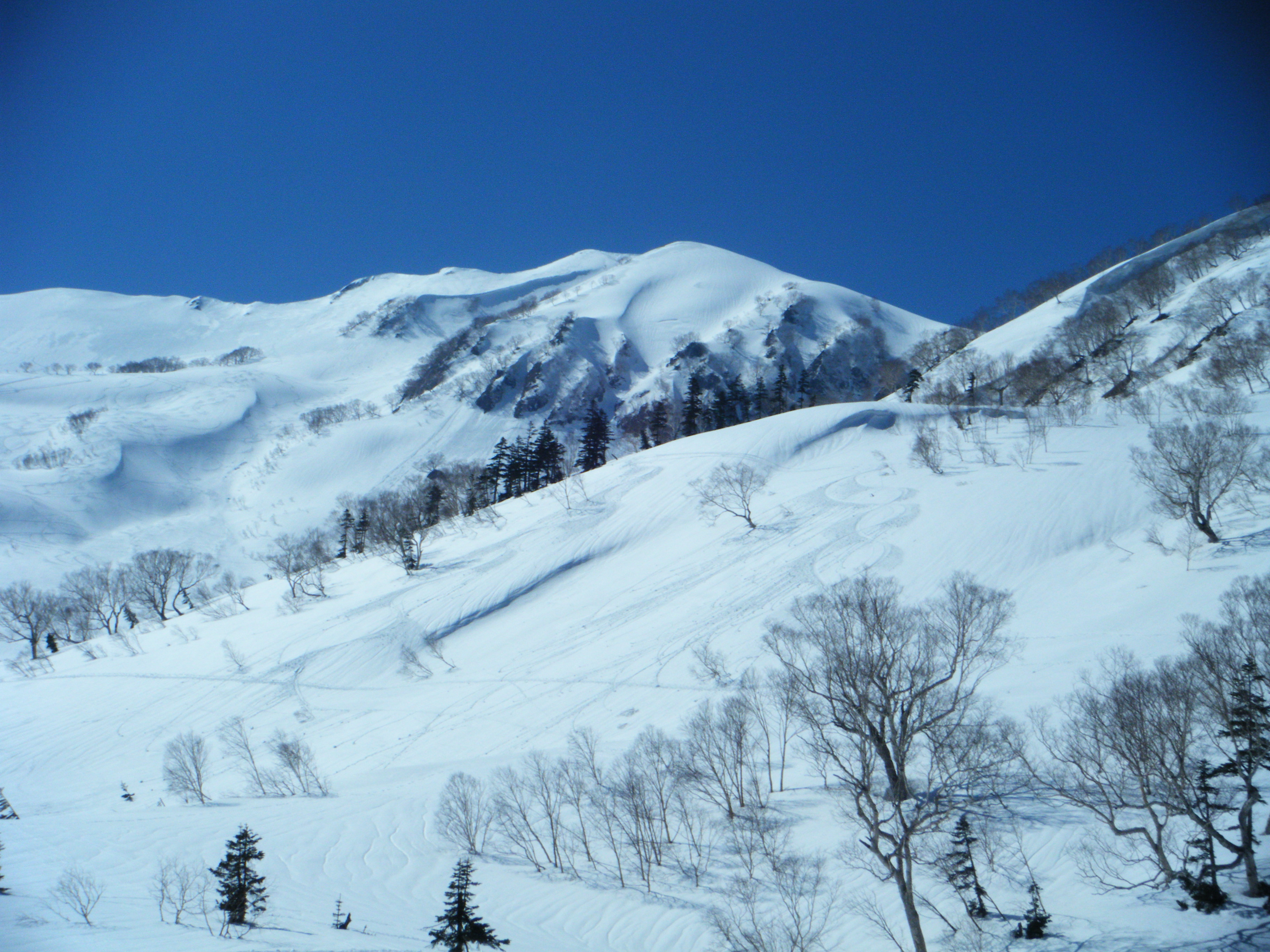 Tsugaike Kogen