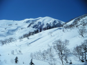 Tsugaike Kogen photo