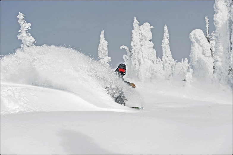 big white pow