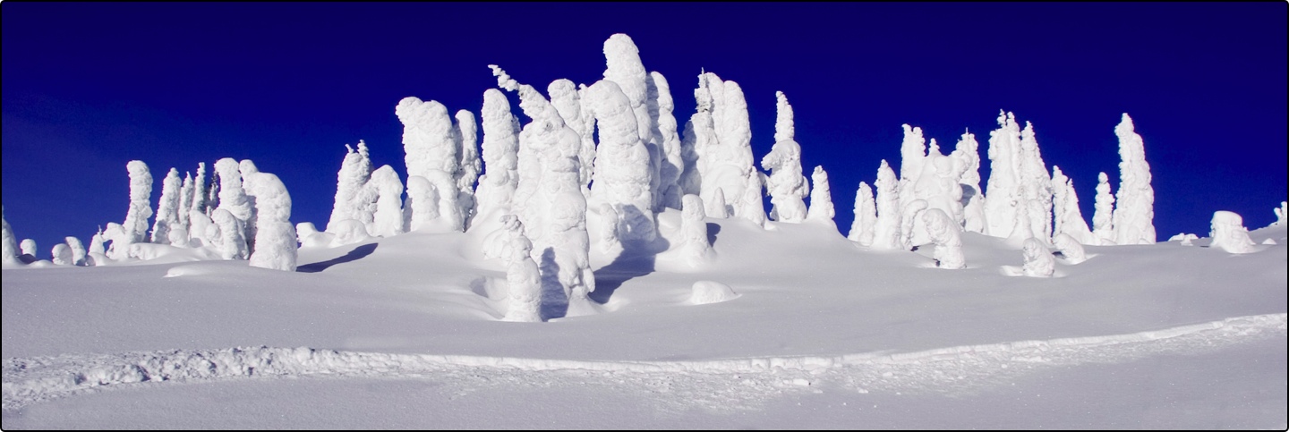 snow ghost, Big White