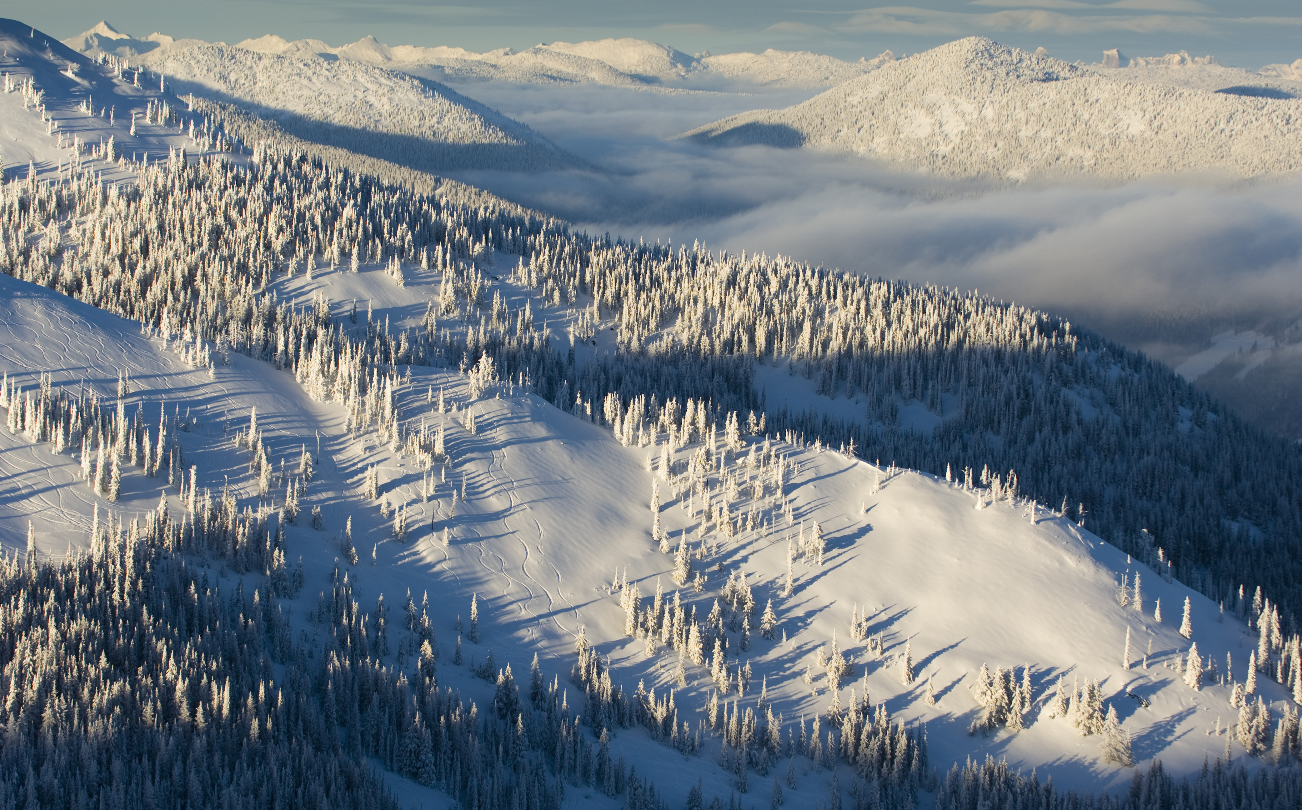Grey Mountain - Side Country slopes, Red Mountain Resort