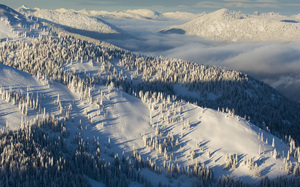 Grey Mountain - Side Country slopes, Red Mountain Resort photo