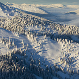 Grey Mountain - Side Country slopes, Red Mountain Resort