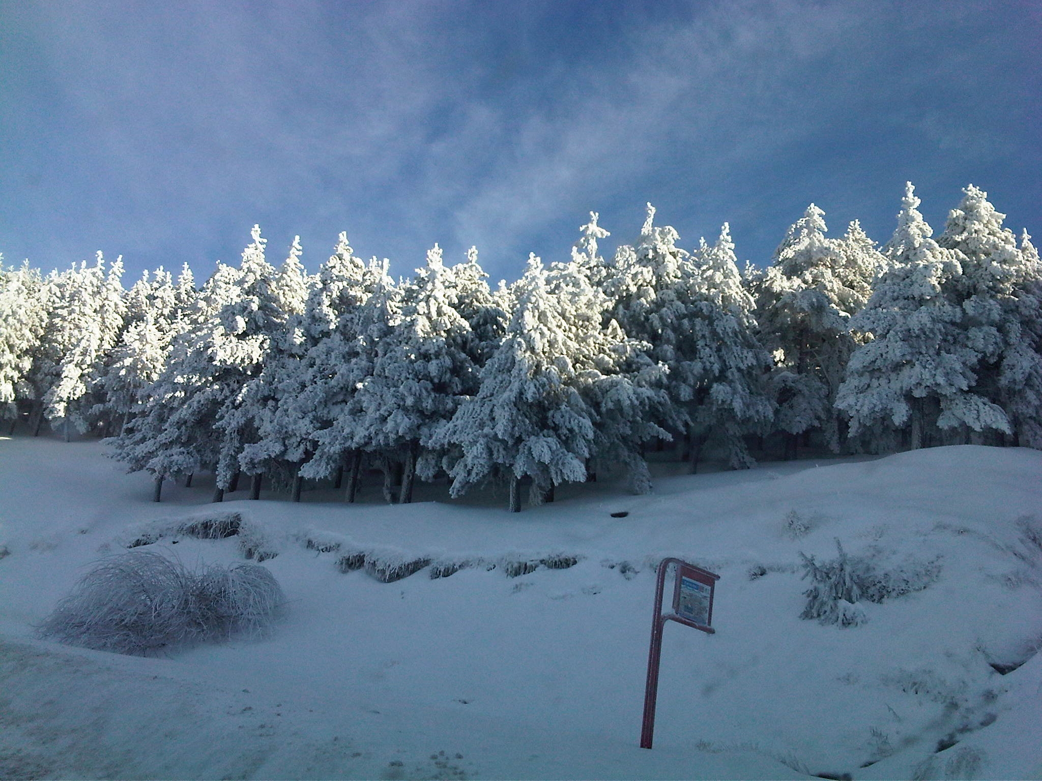 CAMINO A LA SIERRA, Sierra Nevada