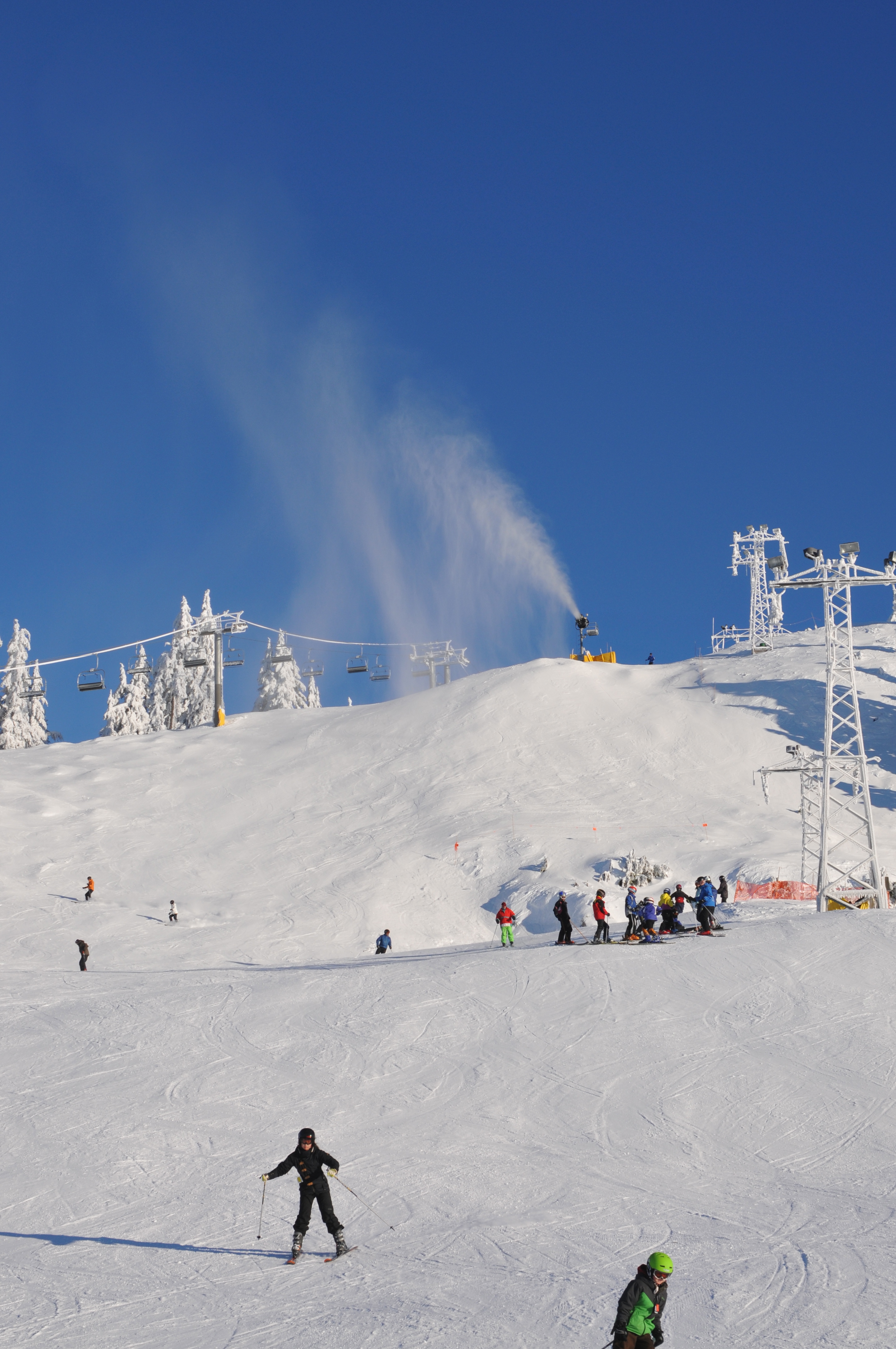 Grouse Mountain