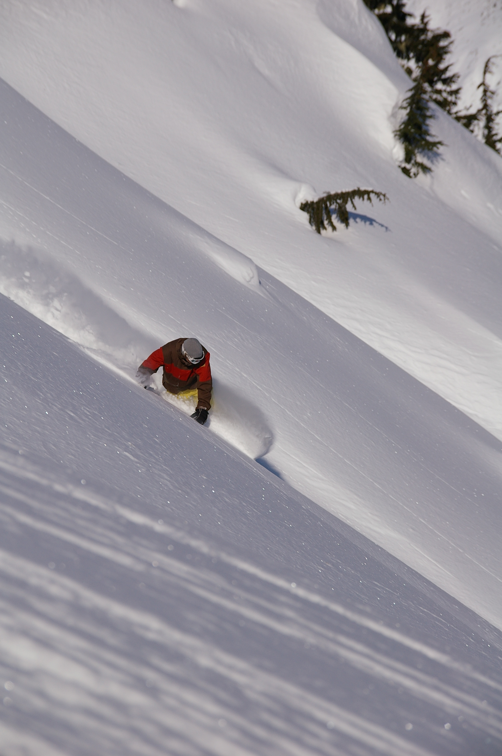 Snowboarding, Northern Escape Heli Skiing