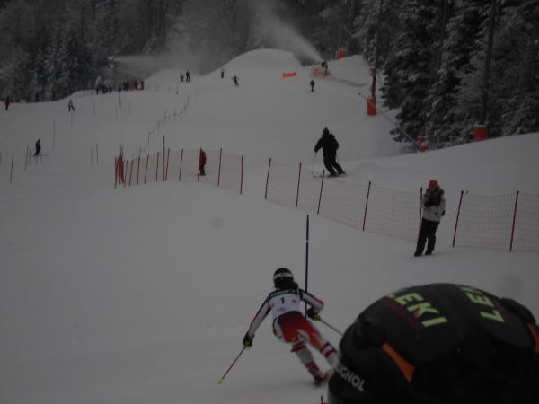 Elan Cup, Sljeme 2011