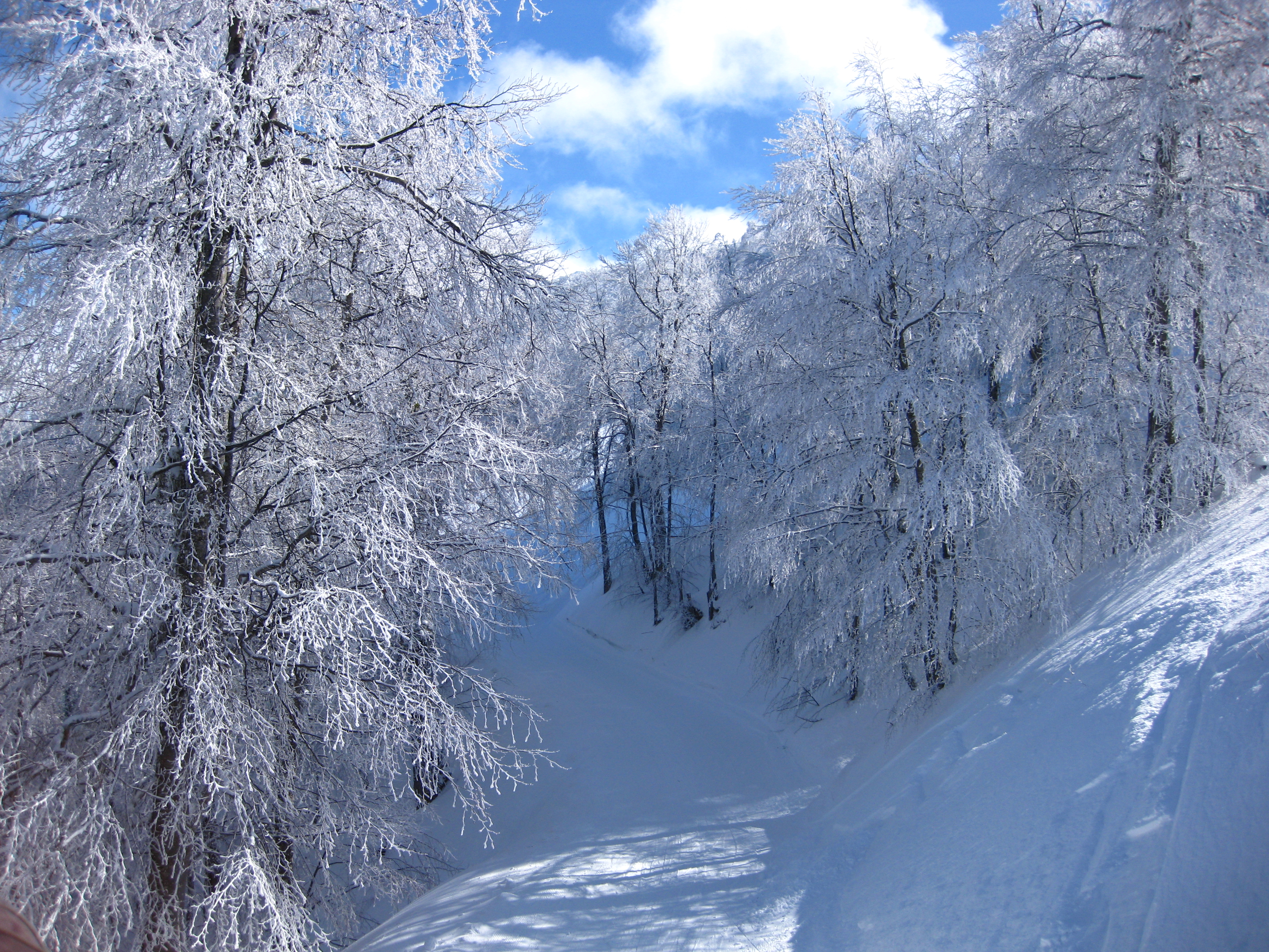 3-5 Pigadia Skiways