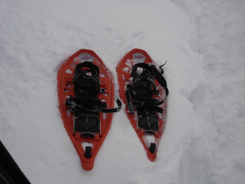 snowshoes, Seli