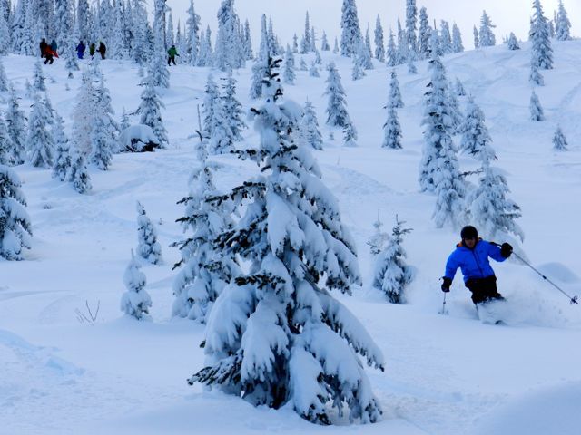 Opening Day 30 Dec 11, Big Red Cats