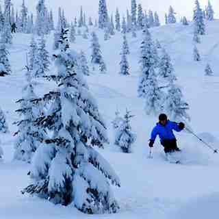 Opening Day 30 Dec 11, Big Red Cats