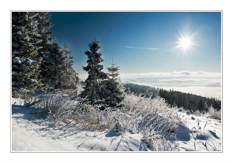 Štrbské Pleso snow