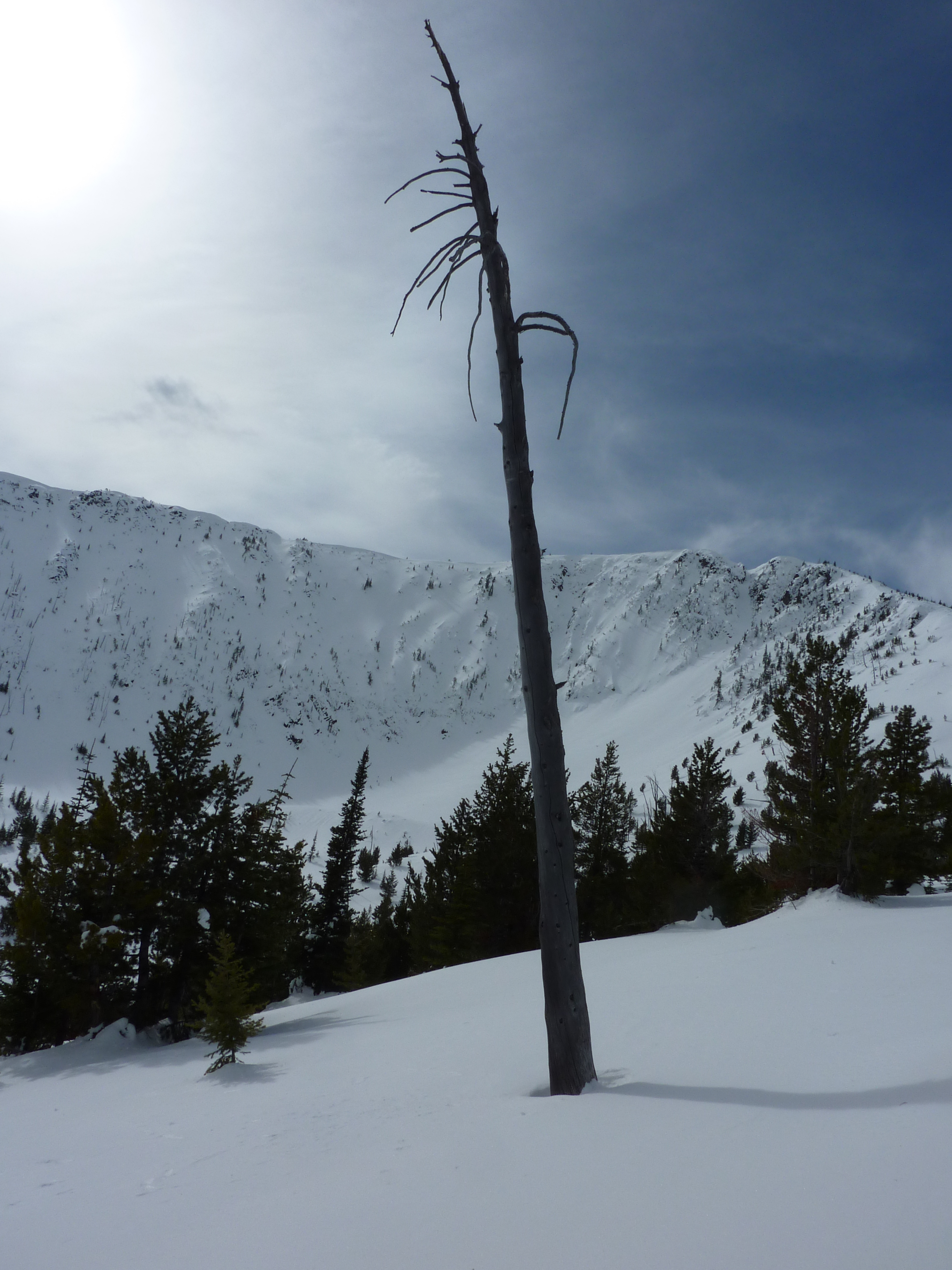 sentinel, Apex Resort