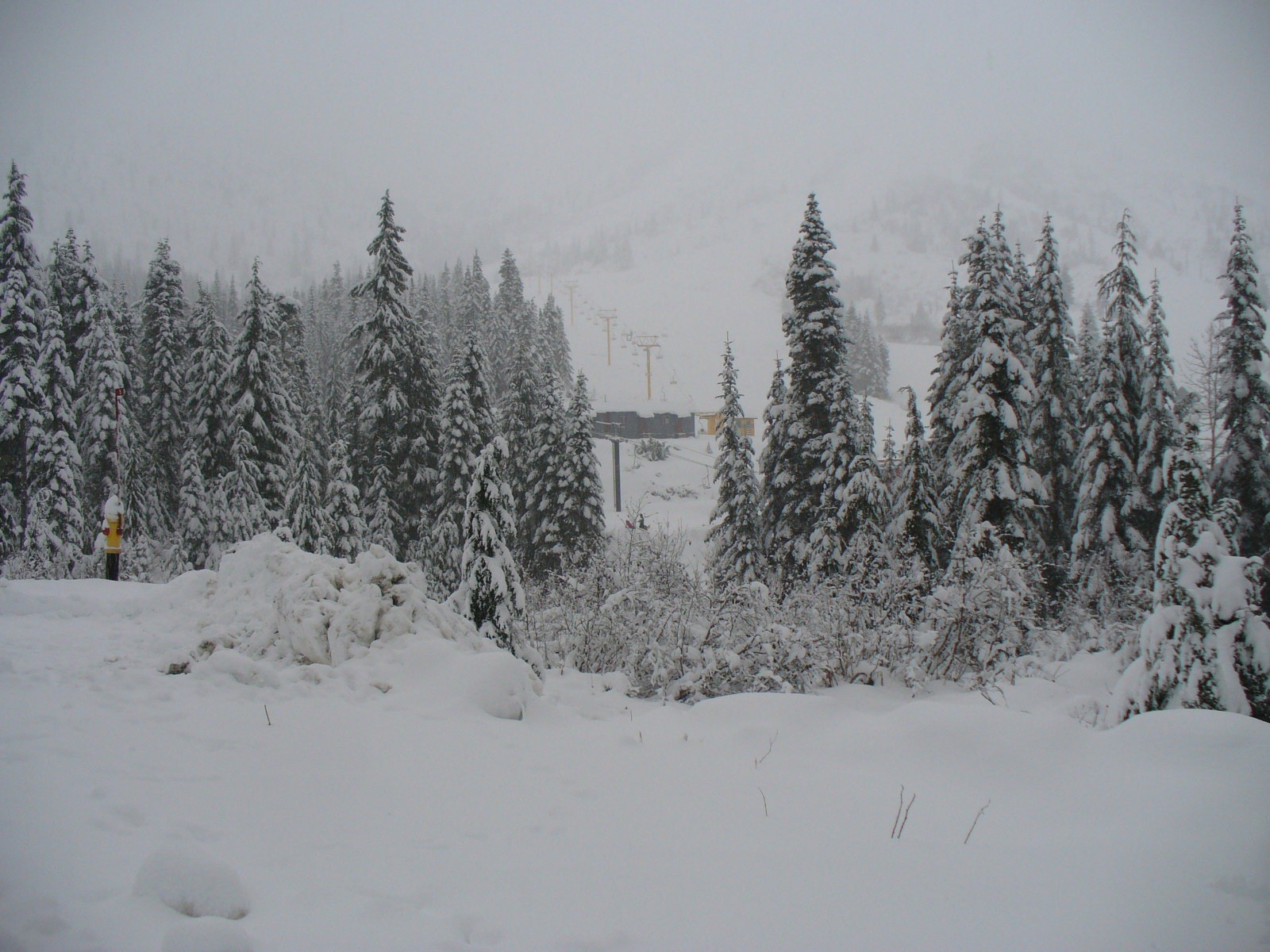 New Snow, Sasquatch Mountain Resort