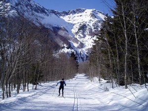col d'Ornon XC trails, Col d' Ornon photo