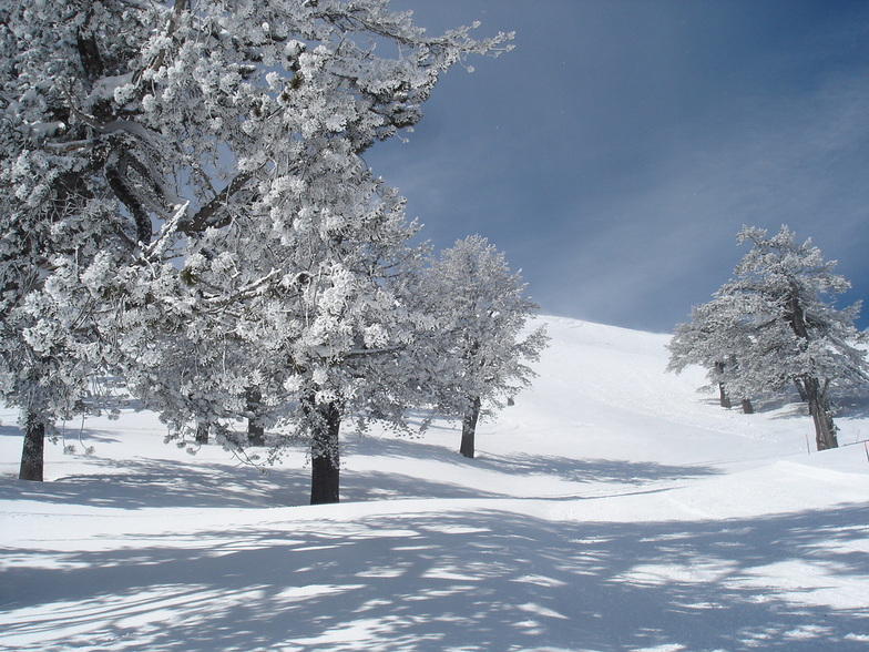 snow paradise, Vasilitsa
