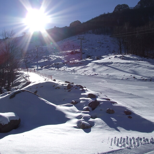 Konjarnik, Stara Planina/Babin Zub