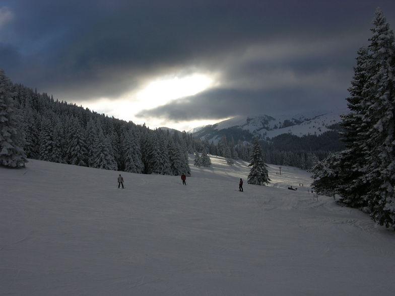 Ilgaz/Türkiye, Mt Ilgaz