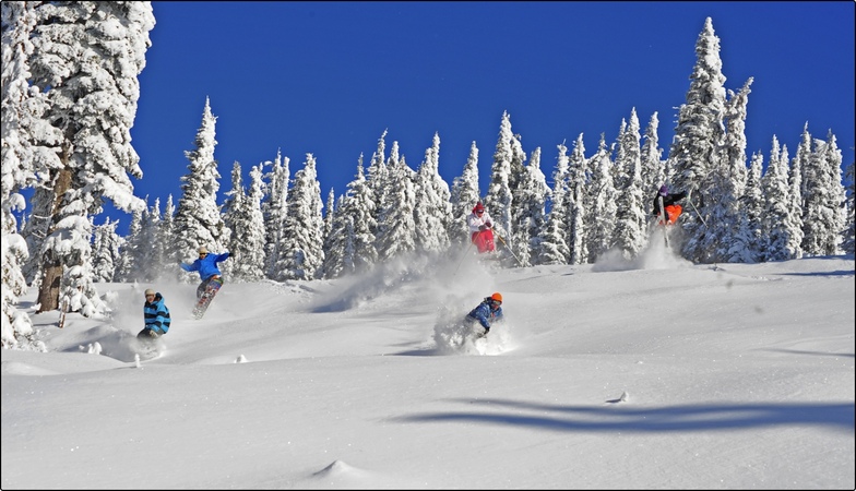 big white pow
