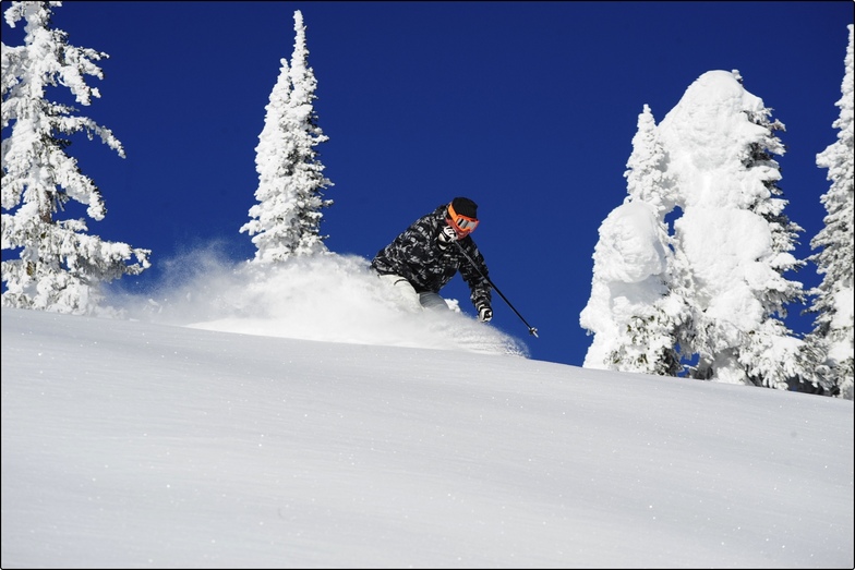 big white pow