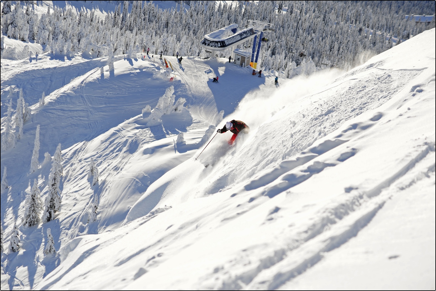 big white pow