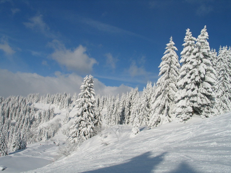 Ski run down to Ranfolly lift, Les Gets