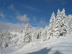 Ski run down to Ranfolly lift, Les Gets photo