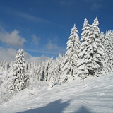 Ski run down to Ranfolly lift, Les Gets