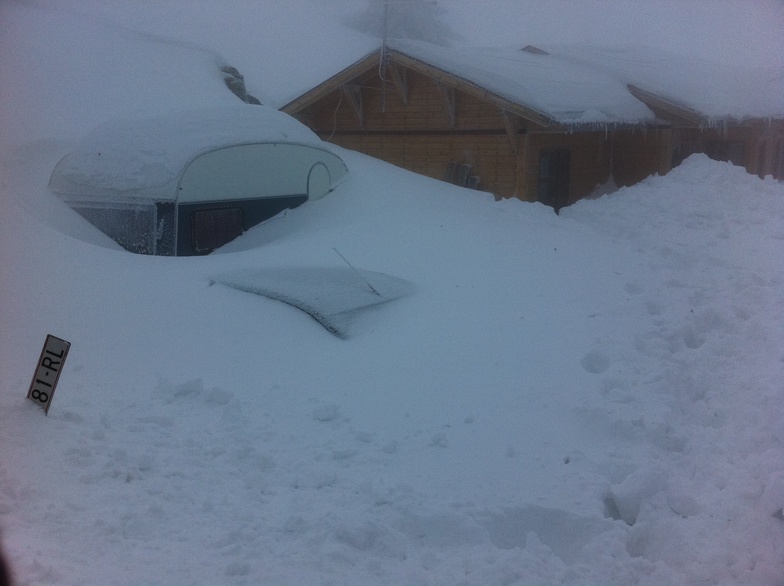 DUDE - Where is my car??!!, Kozuf