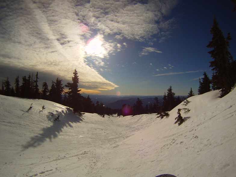 Sunny Bonezone, Timberline