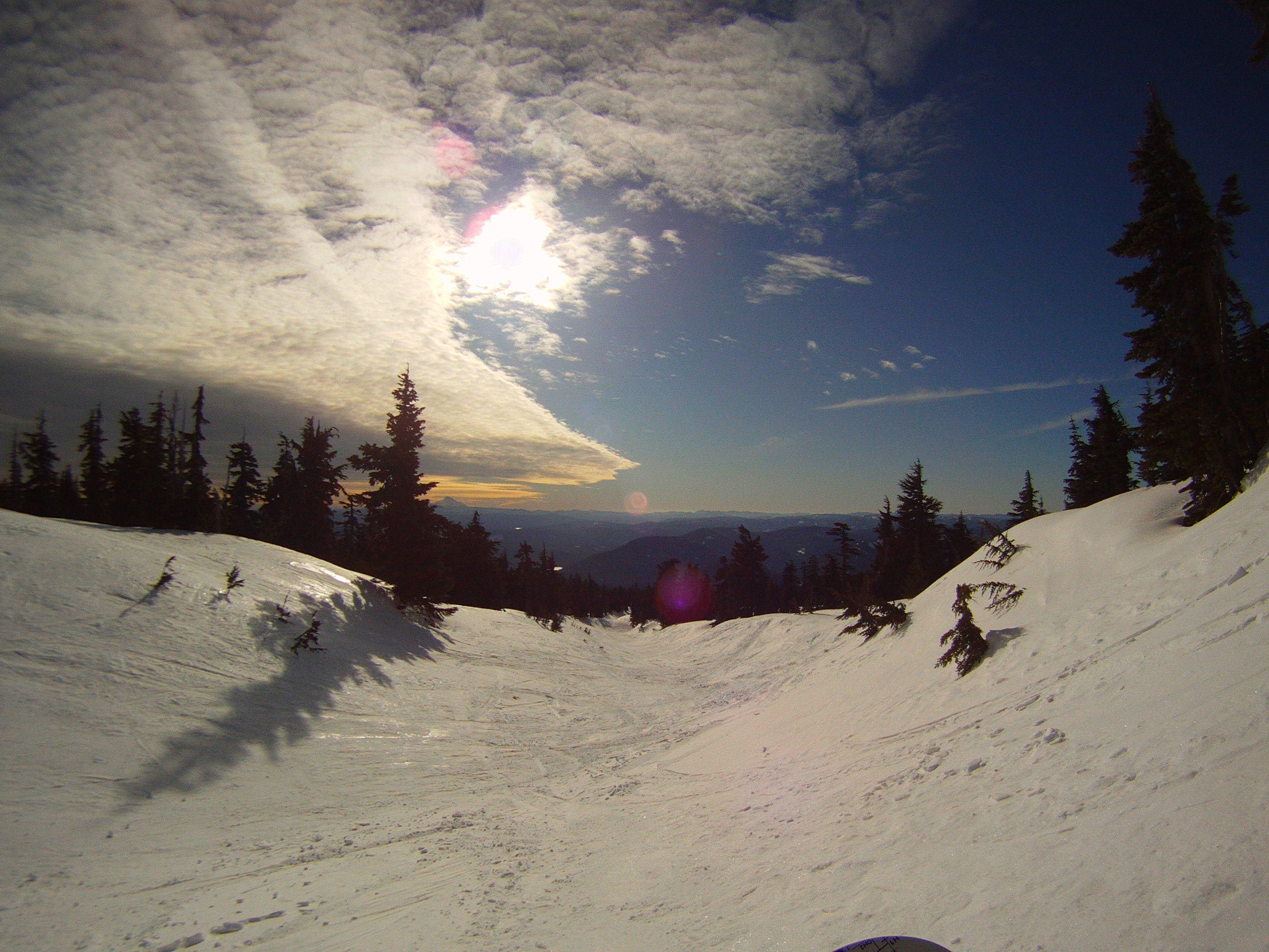 Sunny Bonezone, Timberline