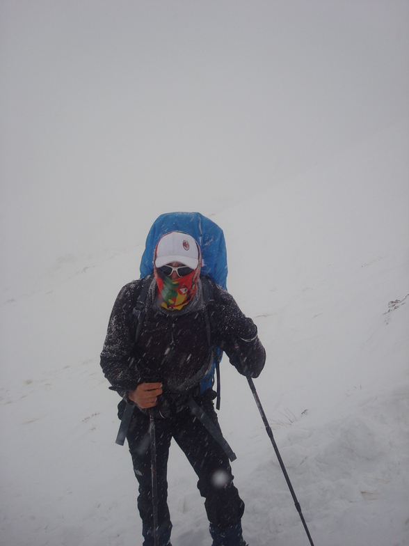 Farshid on The Kolar Summit