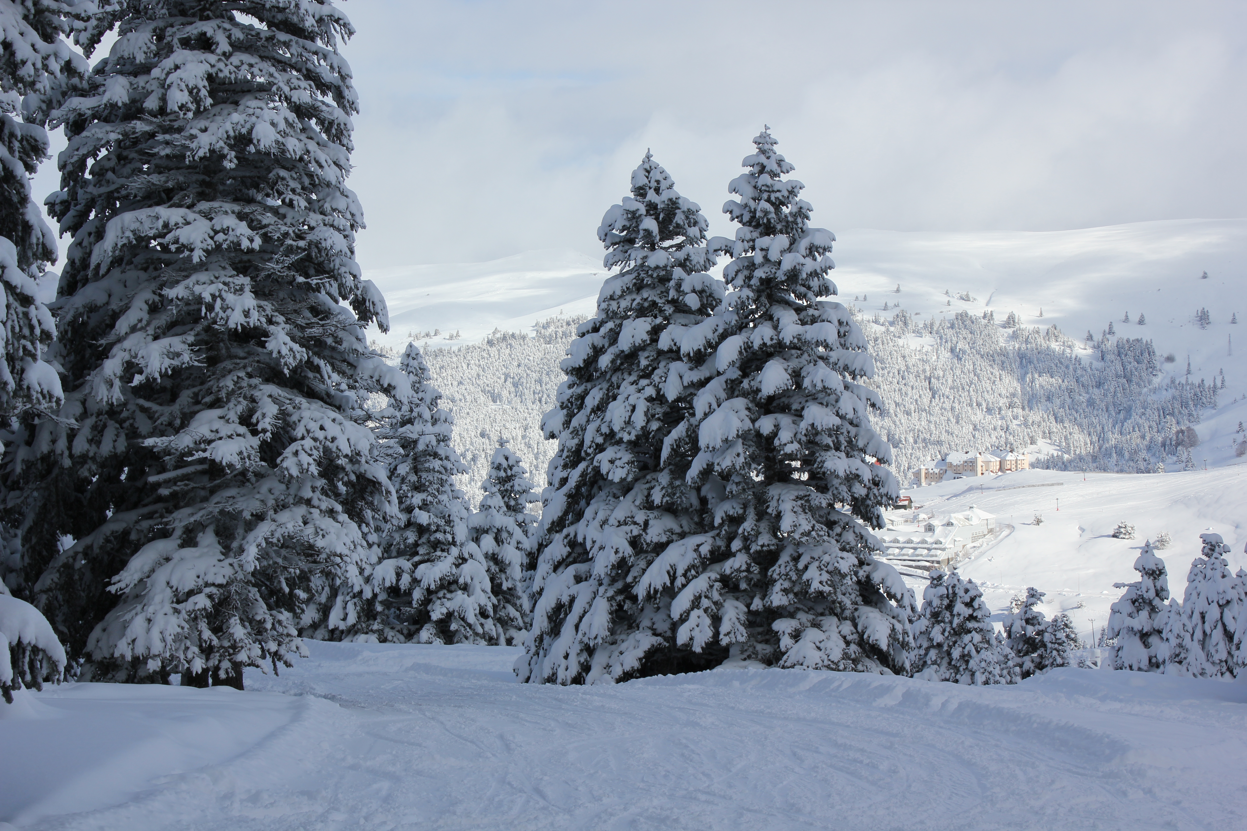 snow forest, Uludağ