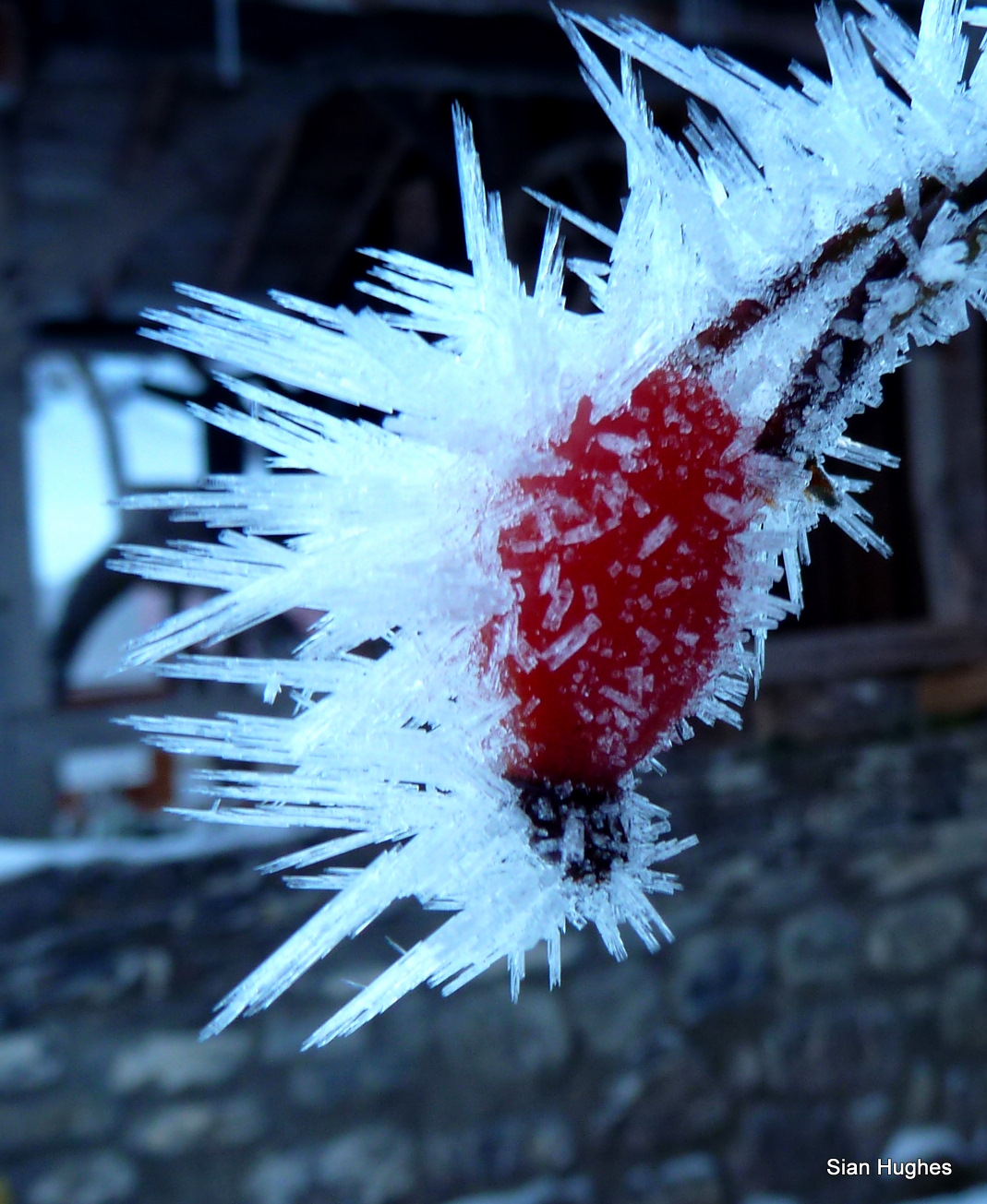 Haw Frost, Morzine