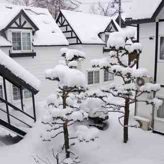 Pension Furanui, Furano