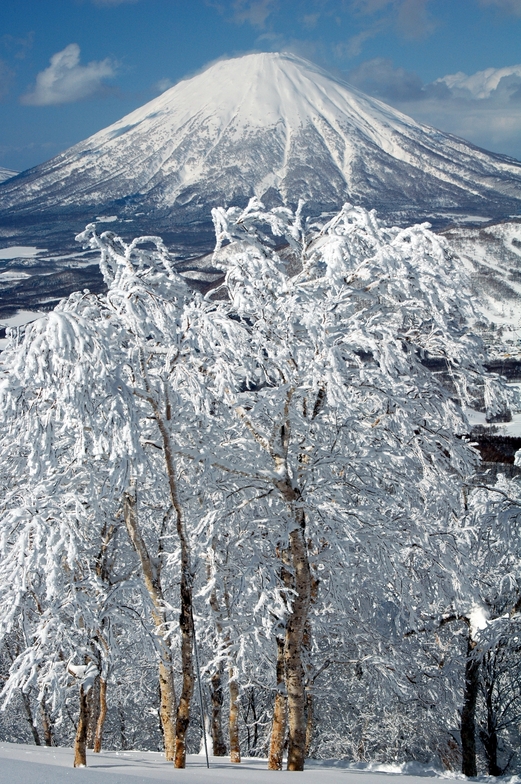 Rusutsu Resort snow