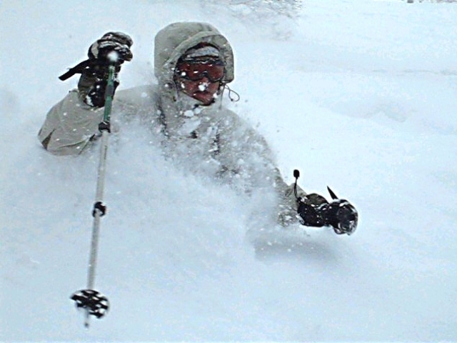 Deep in Niseko trees, Niseko Hanazono Resort