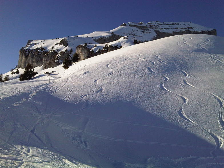 Leysin